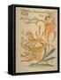 When Lilies, Turned to Tigers, Blaze/Amid Garden's Tangled Maze, Written and Drawn by Walter Crane-null-Framed Stretched Canvas