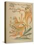 When Lilies, Turned to Tigers, Blaze/Amid Garden's Tangled Maze, Written and Drawn by Walter Crane-null-Stretched Canvas