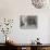 When Lubin Is Away-George Goodwin Kilburne-Mounted Giclee Print displayed on a wall