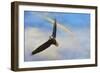 When My Wings Touch the Rainbow-Jai Johnson-Framed Giclee Print