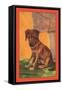 When Rags Ran Away-Diana Thorne-Framed Stretched Canvas