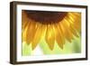 When Summer Comes-Incredi-Framed Photographic Print