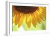 When Summer Comes-Incredi-Framed Photographic Print