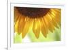 When Summer Comes-Incredi-Framed Photographic Print