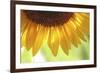 When Summer Comes-Incredi-Framed Photographic Print