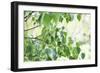 When Summer Starts-Incredi-Framed Giclee Print