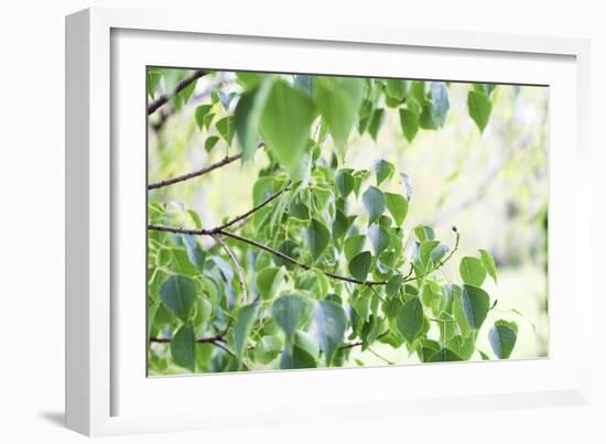 When Summer Starts-Incredi-Framed Giclee Print