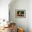 When the Cat Is Away-Lucia Heffernan-Framed Art Print displayed on a wall