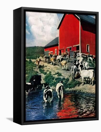 "When the Cows Come Home,"August 1, 1948-J. Julius Fanta-Framed Stretched Canvas