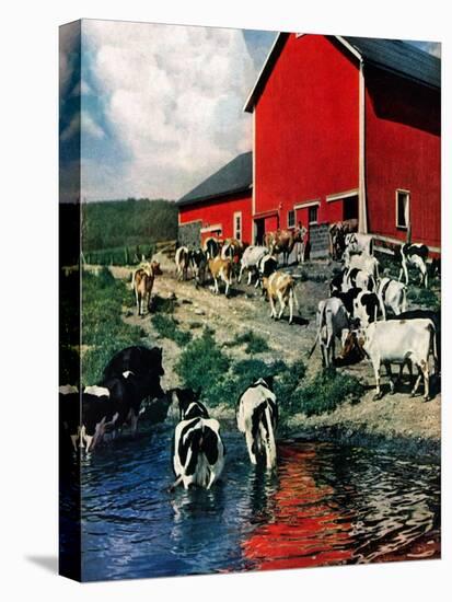 "When the Cows Come Home,"August 1, 1948-J. Julius Fanta-Stretched Canvas