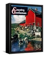 "When the Cows Come Home," Country Gentleman Cover, August 1, 1948-J. Julius Fanta-Framed Stretched Canvas