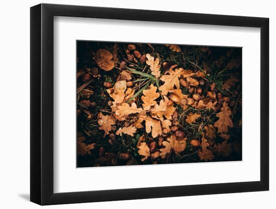 When the fruits of Autumn fall-Philippe Sainte-Laudy-Framed Photographic Print