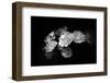 When the Lights Go Down-Philippe Sainte-Laudy-Framed Photographic Print