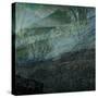 When the Wild Wind Blows-Doug Chinnery-Stretched Canvas