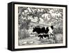 When They Went Scampering By, the Cow Just Stared at Them-Luxor Price-Framed Stretched Canvas