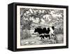 When They Went Scampering By, the Cow Just Stared at Them-Luxor Price-Framed Stretched Canvas