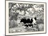 When They Went Scampering By, the Cow Just Stared at Them-Luxor Price-Mounted Art Print