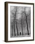 When Winter Knocks on the Door-Yvette Depaepe-Framed Photographic Print