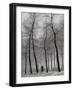 When Winter Knocks on the Door-Yvette Depaepe-Framed Photographic Print