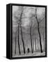 When Winter Knocks on the Door-Yvette Depaepe-Framed Stretched Canvas