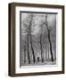 When Winter Knocks on the Door-Yvette Depaepe-Framed Photographic Print