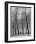 When Winter Knocks on the Door-Yvette Depaepe-Framed Photographic Print