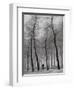 When Winter Knocks on the Door-Yvette Depaepe-Framed Photographic Print