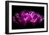 When Words Are Useless-Philippe Sainte-Laudy-Framed Photographic Print