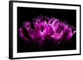 When Words Are Useless-Philippe Sainte-Laudy-Framed Photographic Print