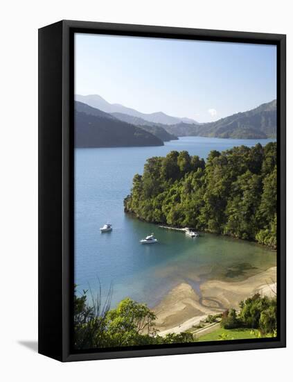 Whenuanui, Becks Bay, Marlborough Sounds, South Island, New Zealand-David Wall-Framed Stretched Canvas