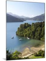 Whenuanui, Becks Bay, Marlborough Sounds, South Island, New Zealand-David Wall-Mounted Premium Photographic Print