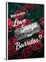 Where Are All the Love Songs About Burritos?-null-Stretched Canvas
