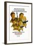 Where Eagles Dare, 1968-null-Framed Giclee Print