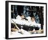 Where Eagles Dare-null-Framed Photo