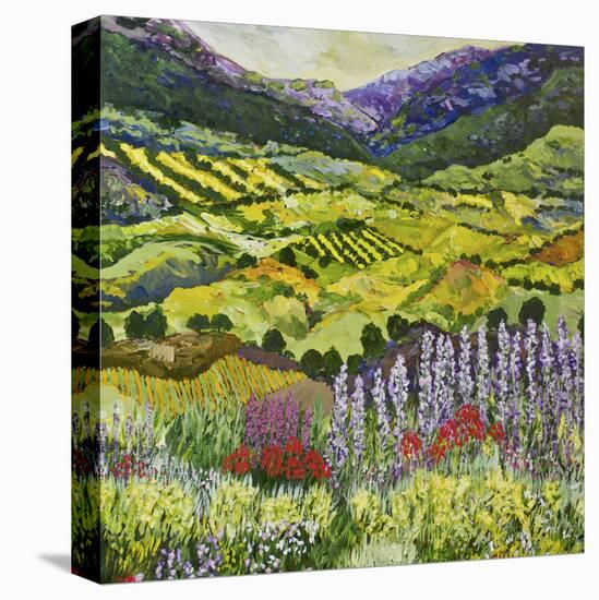 Where Flowers Bloom-Allan P. Friedlander-Stretched Canvas