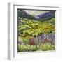 Where Flowers Bloom-Allan P. Friedlander-Framed Art Print