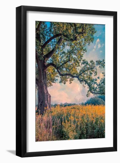 Where I Daydream-John Rivera-Framed Premium Photographic Print