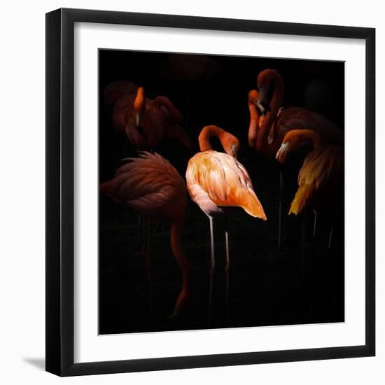 Where I Stood-Andreas Krinke-Framed Photographic Print