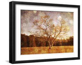 Where Imagination Plays-Christy Ann-Framed Giclee Print