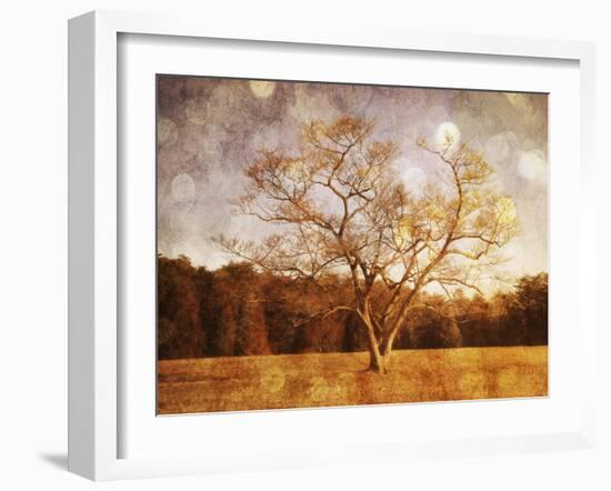 Where Imagination Plays-Christy Ann-Framed Premium Giclee Print