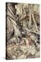 ..Where Often You and I Upon Faint Primrose-Beds Were Wont to Lie-Arthur Rackham-Stretched Canvas