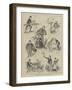 Where's the Cat? at the Criterion Theatre-Horace Morehen-Framed Giclee Print