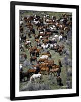 Where’s Waldo (color)-Barry Hart-Framed Giclee Print