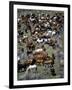 Where’s Waldo (color)-Barry Hart-Framed Giclee Print