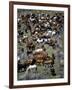 Where’s Waldo (color)-Barry Hart-Framed Giclee Print