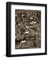 Where’s Waldo-Barry Hart-Framed Giclee Print