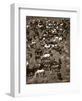 Where’s Waldo-Barry Hart-Framed Giclee Print