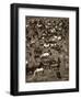 Where’s Waldo-Barry Hart-Framed Art Print