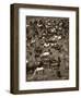 Where’s Waldo-Barry Hart-Framed Art Print