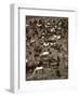 Where’s Waldo-Barry Hart-Framed Art Print